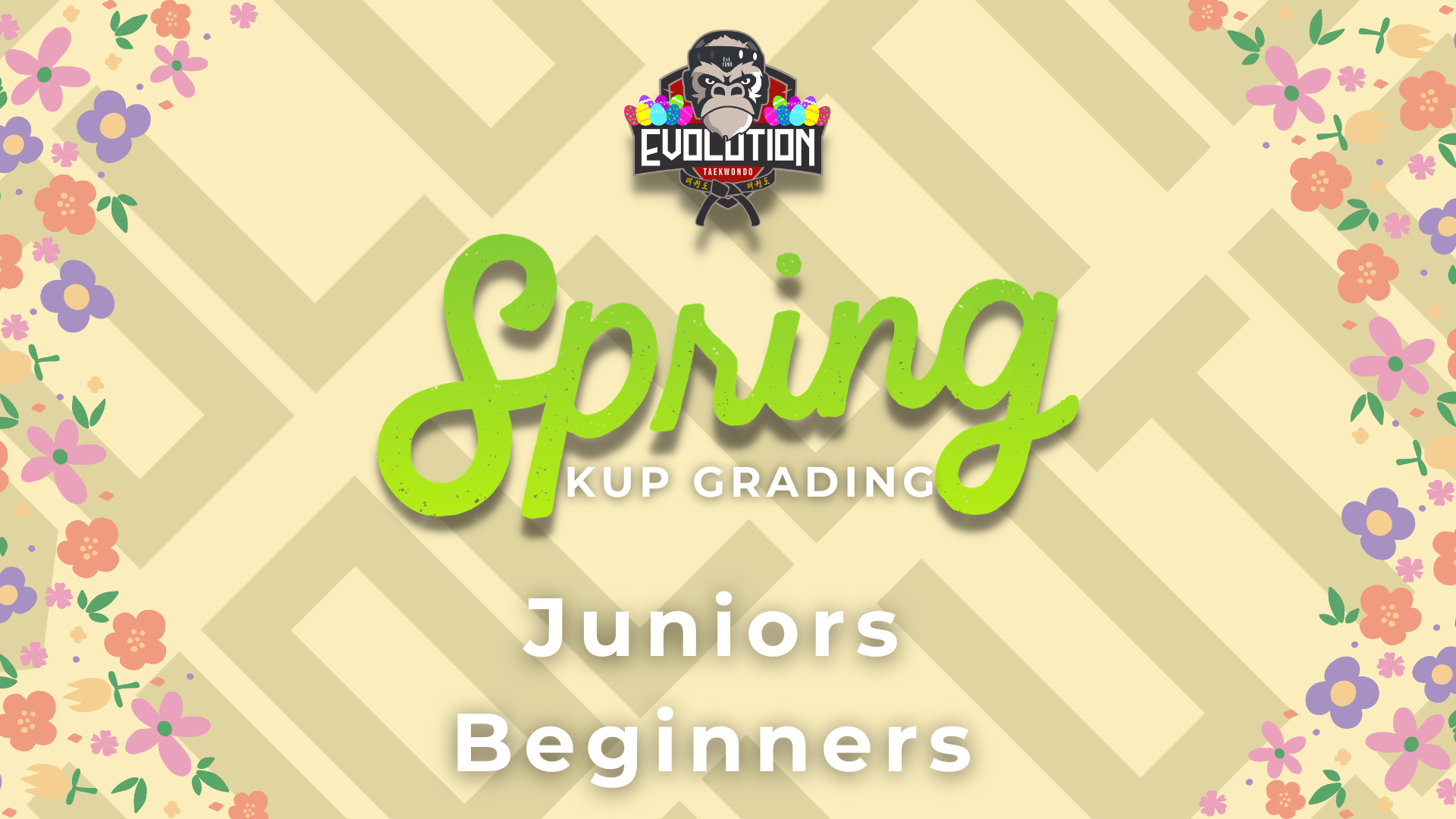 Juniors beginner taekwondo grading