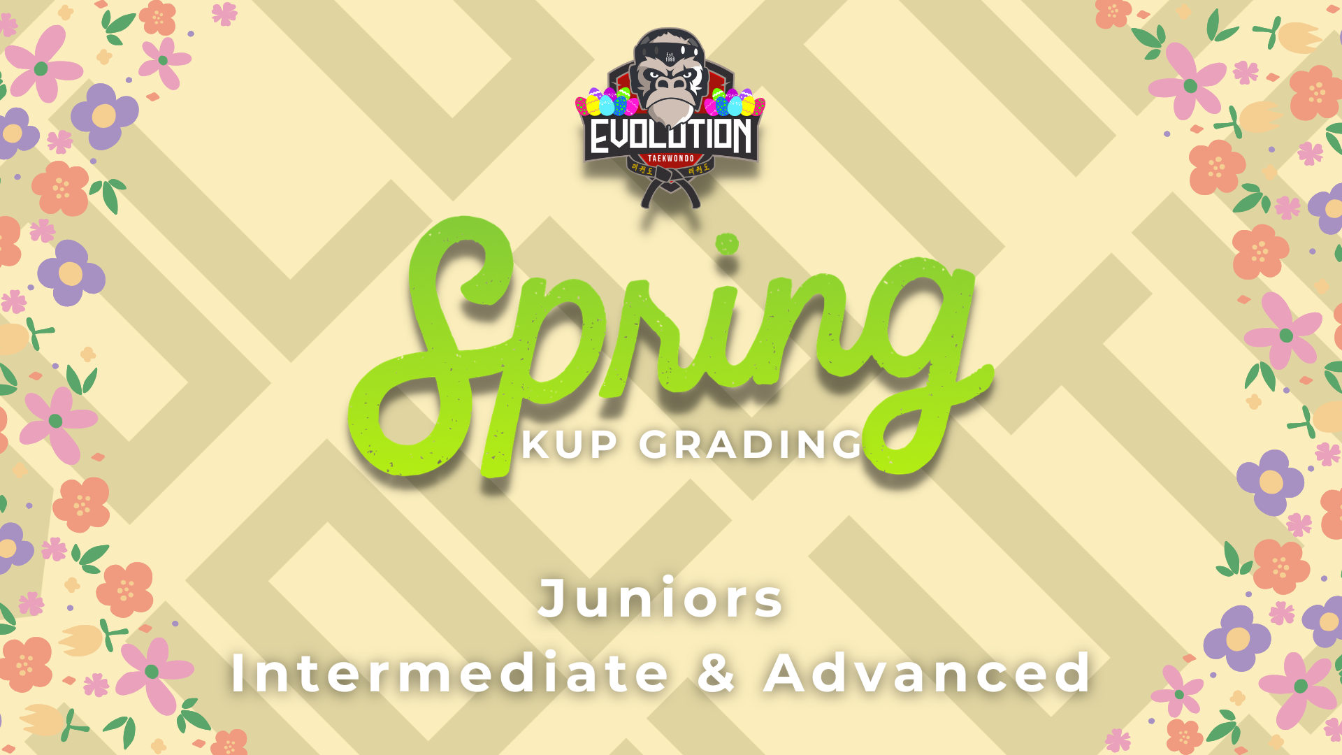 intermediate and advanced taekwondo grading in peterborough